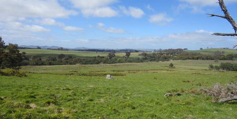 Harrys Creek Road, Strathbogie