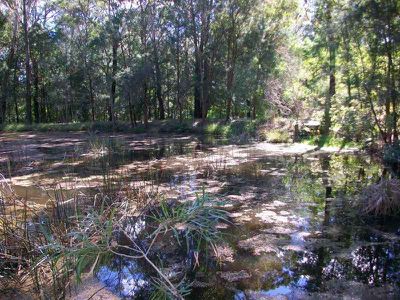 Ourimbah