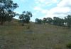 Lot 6 Burrendong Way, Orange