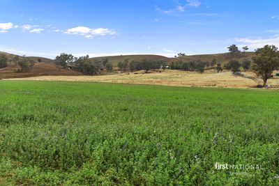 503 Garthowen Road, Attunga