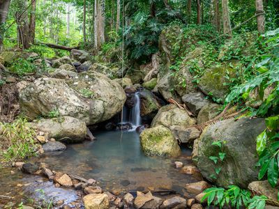 771 Left Bank Road, Mullumbimby Creek