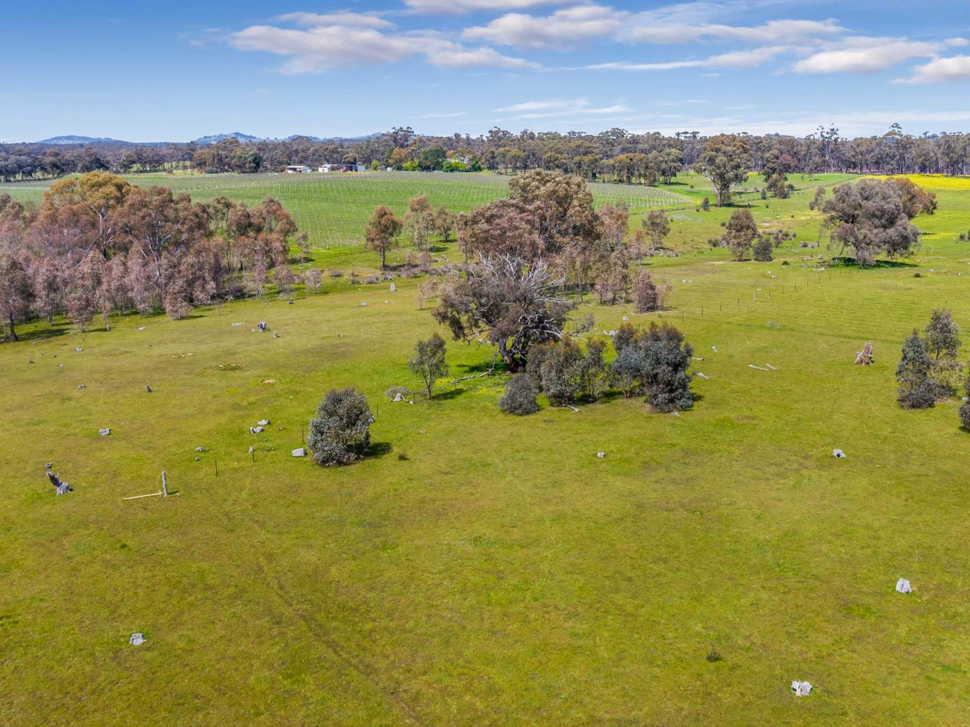 Lots 38G & 38H Peters Gully Road, Argyle