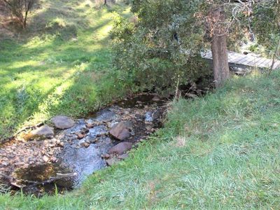 Lot 8, Wild Dog Road, Merrijig