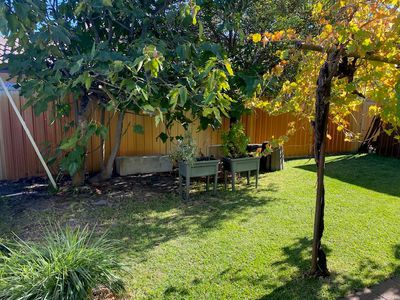 82 Ferguson Street, Maylands