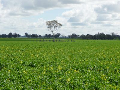 Maloney's Road, Burrumbuttock