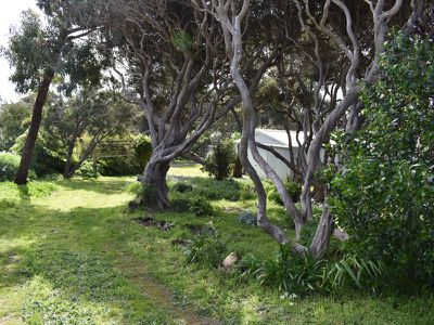 6 Parklands Terrace, Beachport