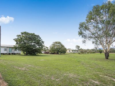 115 Dingo Park Road, Woodstock