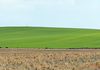 155 Claypans Road, Copeville
