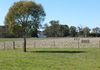 123 Springhill Road, Orange