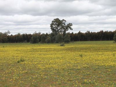 2149 Northern Highway, Toolleen