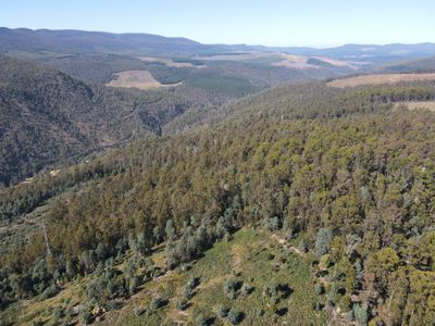 164 Smiths Road, Moogara