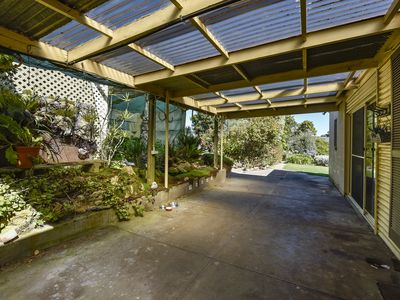 159 Williams Road, Millicent