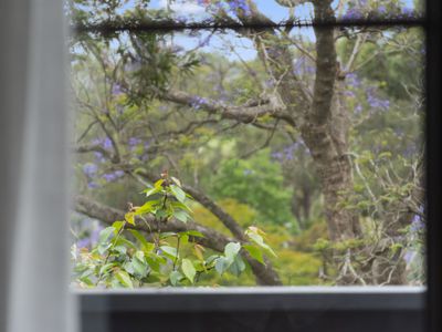 64 Wattle Street, Fishermans Paradise