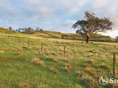 260 & 310 Mt William Road, Goldie