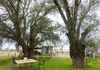 999 Garra Road, Garra