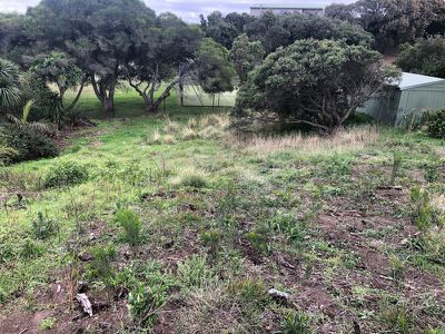 64 Cape Schanck Road, Cape Schanck