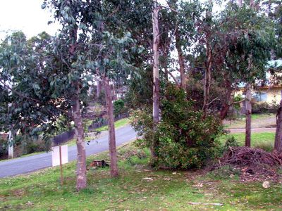 11 Caldwell Avenue, Verona Sands