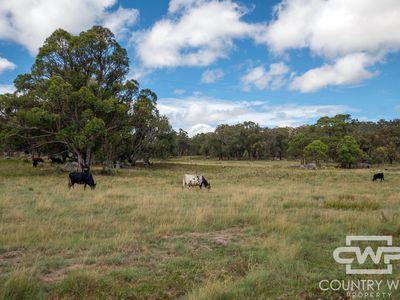 618 Coopers Road, Red Range