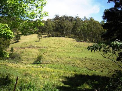 Albion Park