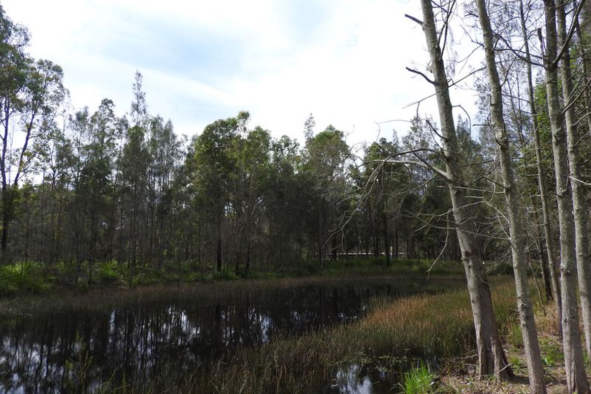 1 Urara Lane, Taree