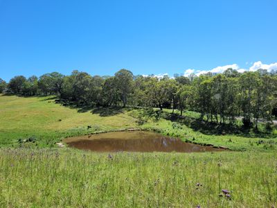 472 Neringla Road, Neringla