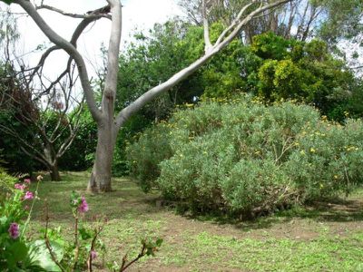 31 Doughty Street , Mount Gambier