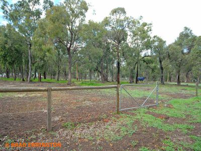 24 Lareema Drive, Bullsbrook