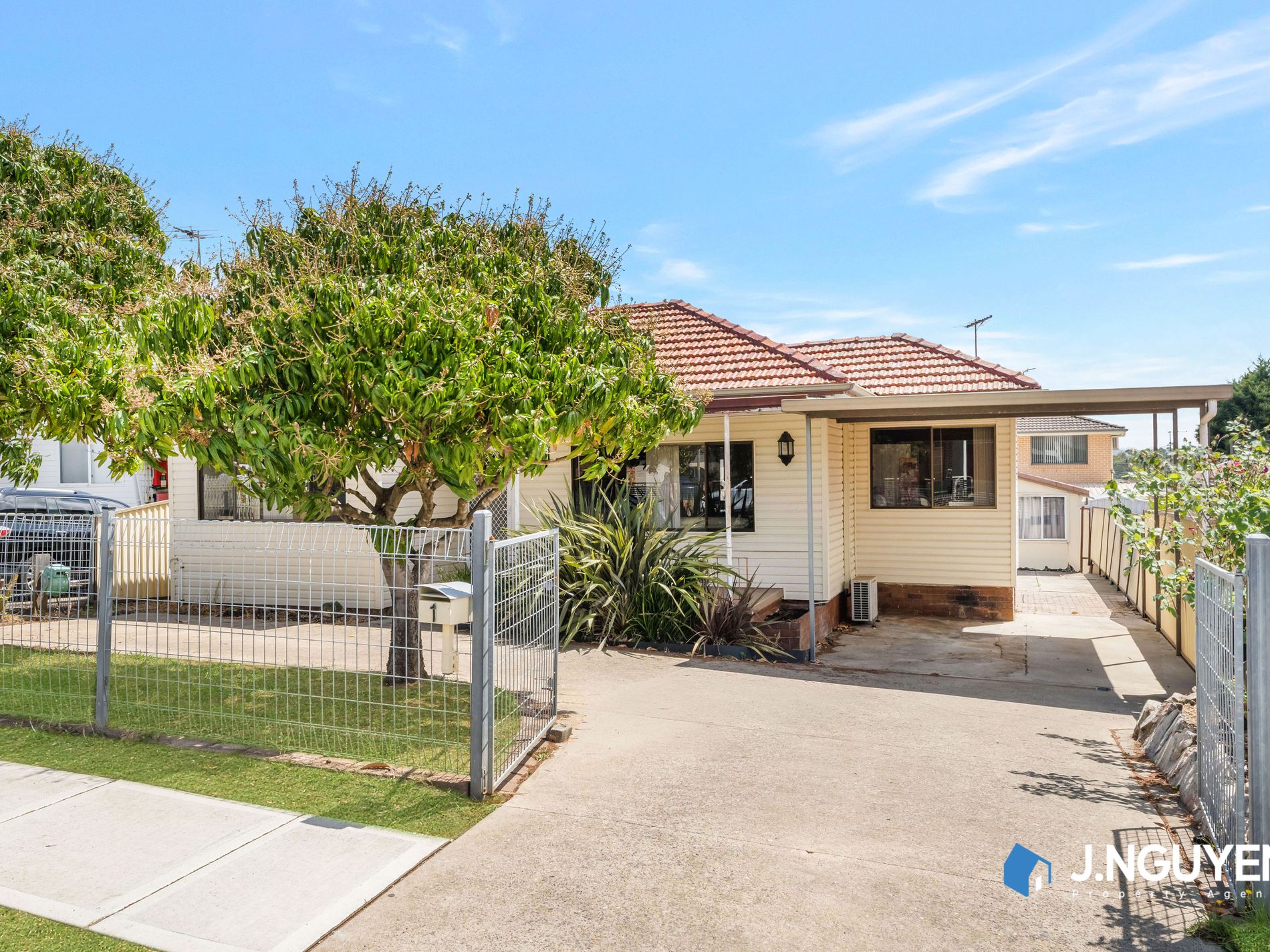1 Byrd Street, Canley Heights