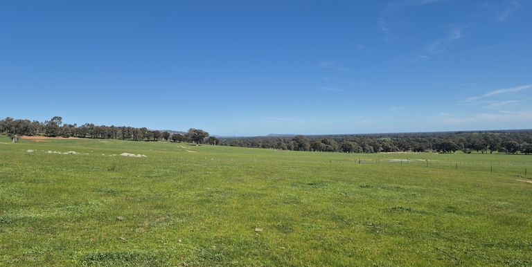Lot 1  10 Dunnings Road, Balmattum