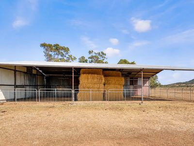 8681  Oxley Highway , Gunnedah