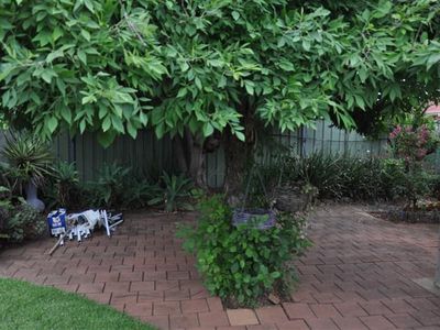 3 Scrivener  Street, Forbes