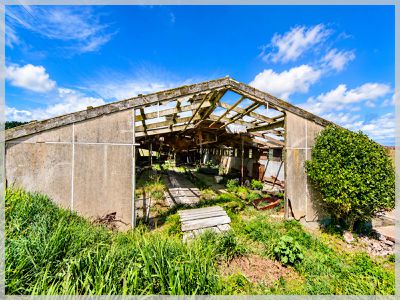 0 Bergin, Foxton