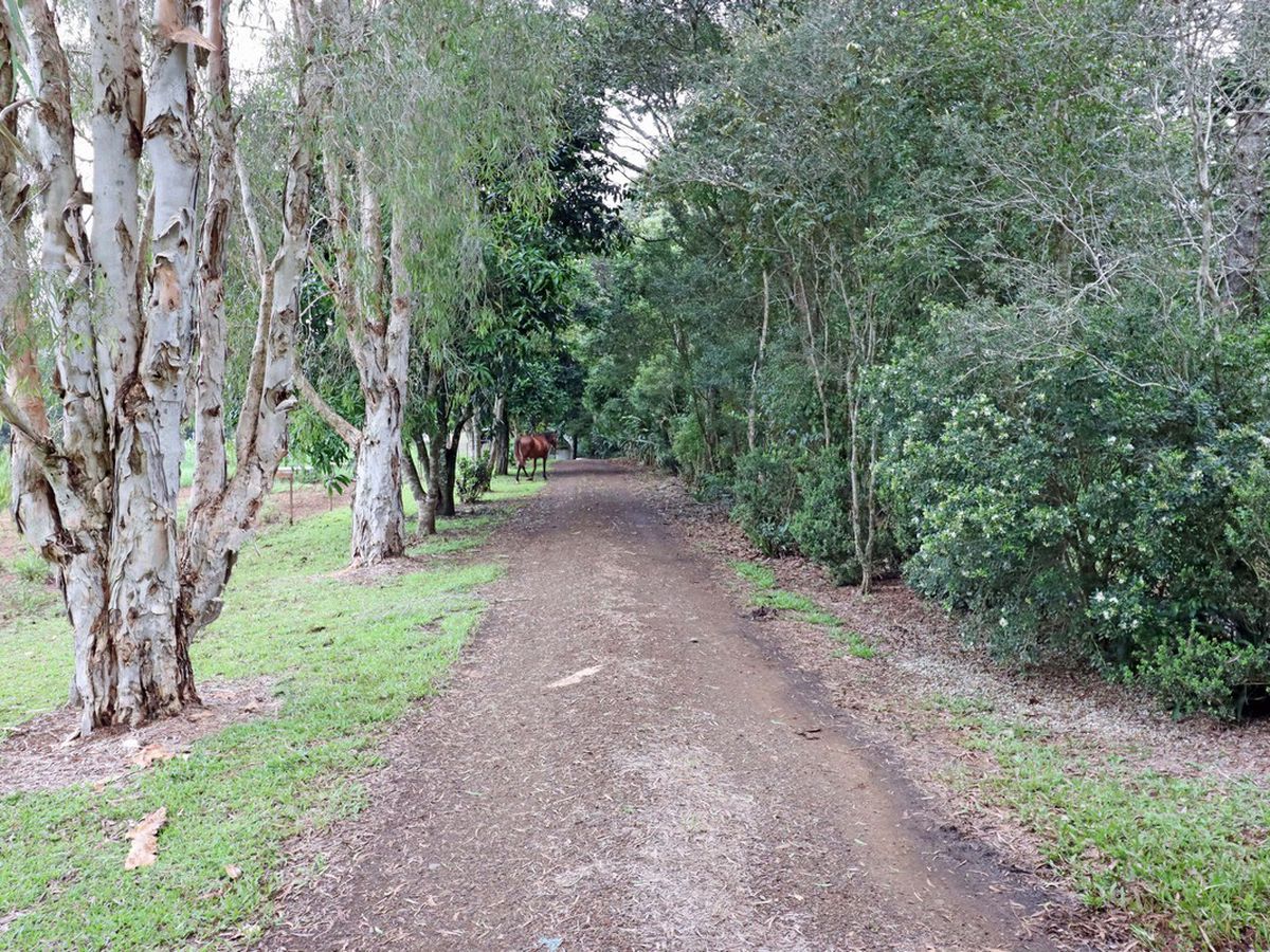 Malanda