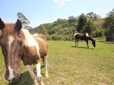 1085 Pappinbarra Road, Lower Pappinbarra