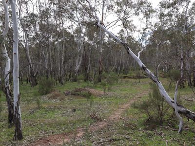Lot 2 Davis Road, Mount Camel