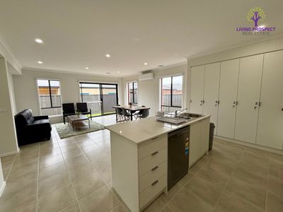 17 Pintail Drive, Melton South