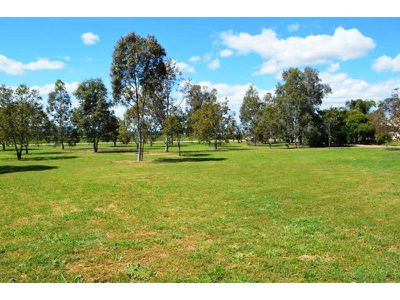 Lot 7 Phillip Street, Carroll