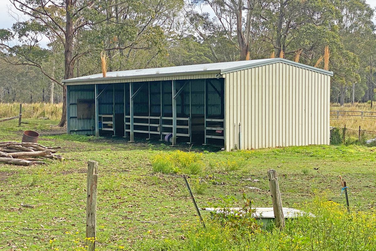 102 McDonell Crescent, Kundle Kundle