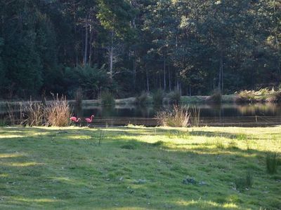 366 Arve Road, Geeveston