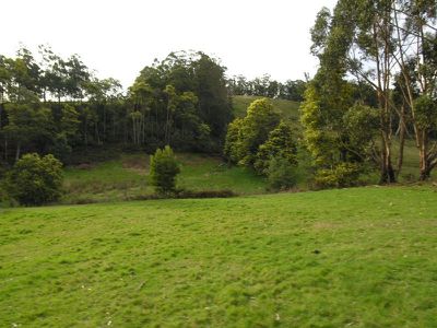 Sculthorpes Road, Nicholls Rivulet