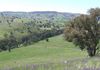* Canowindra, Orange