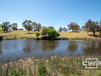 954 Bullock Mountain Road, Glen Innes