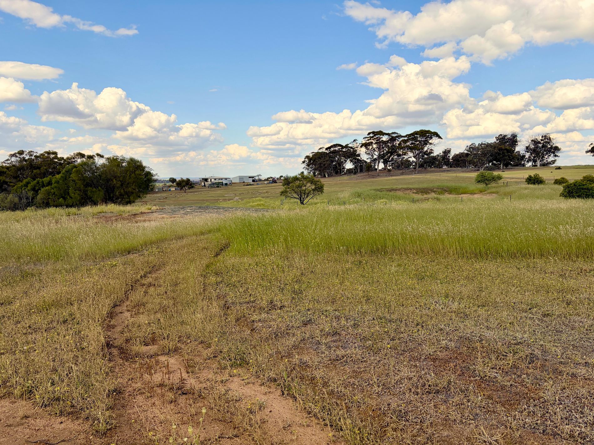 803 Snows Road, Gillimanning