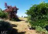 133 Carbine Road, Forest Reefs