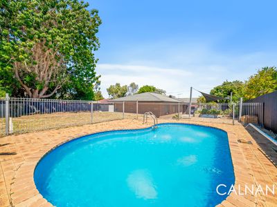 96 Osprey Drive, Yangebup