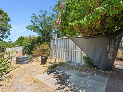 28 Dorothy Street, Ashfield