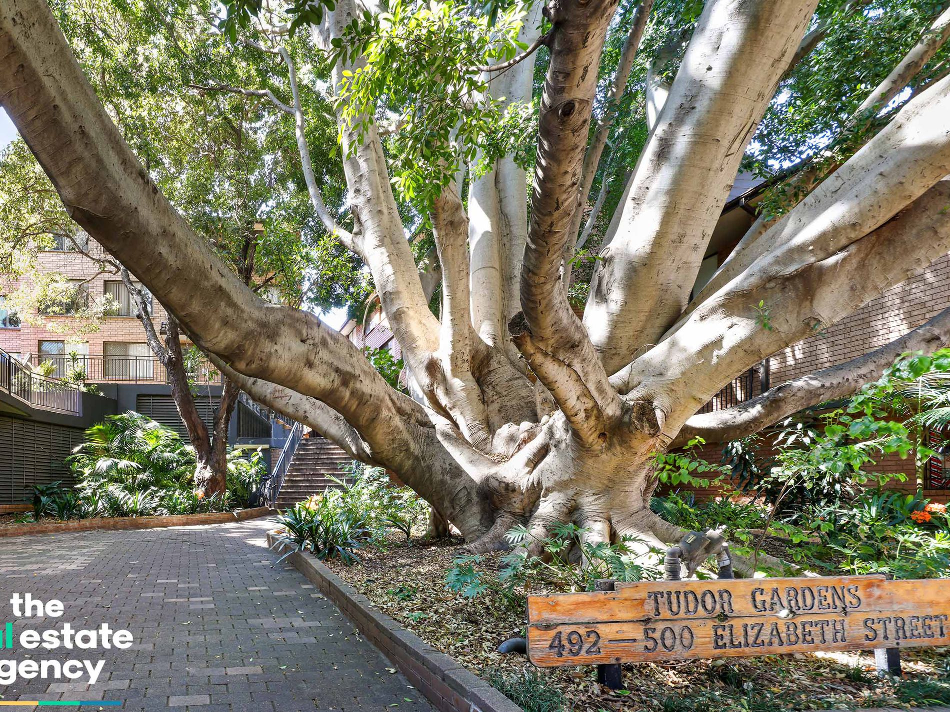 37 / 492 Elizabeth Street, Surry Hills - Image 1