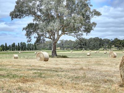 35 Vickery Road, Meadows