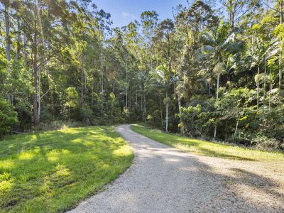 501 Mount Warning Road, Mount Warning