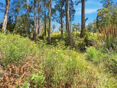 Lot 9, Esperance Coast Road, Dover